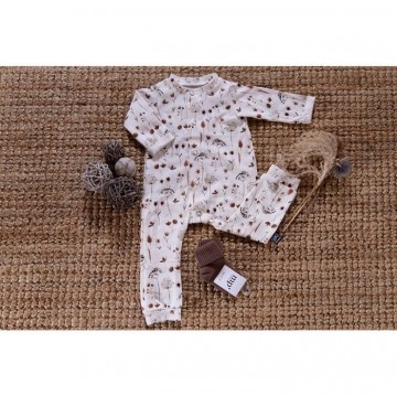 Siemz boxpakje dried flowers